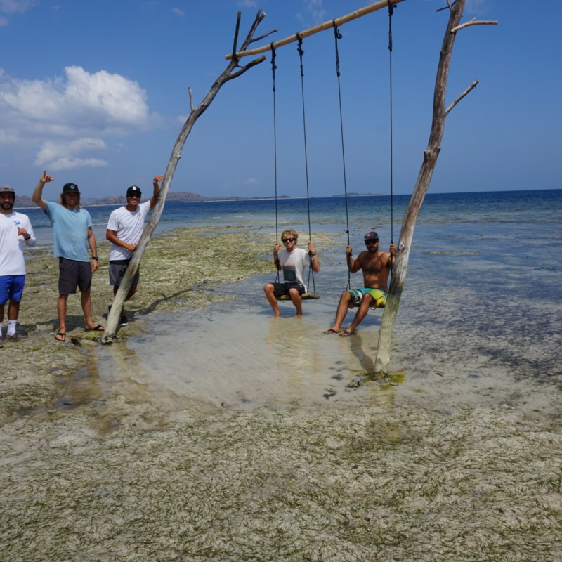 people on a homemade swing