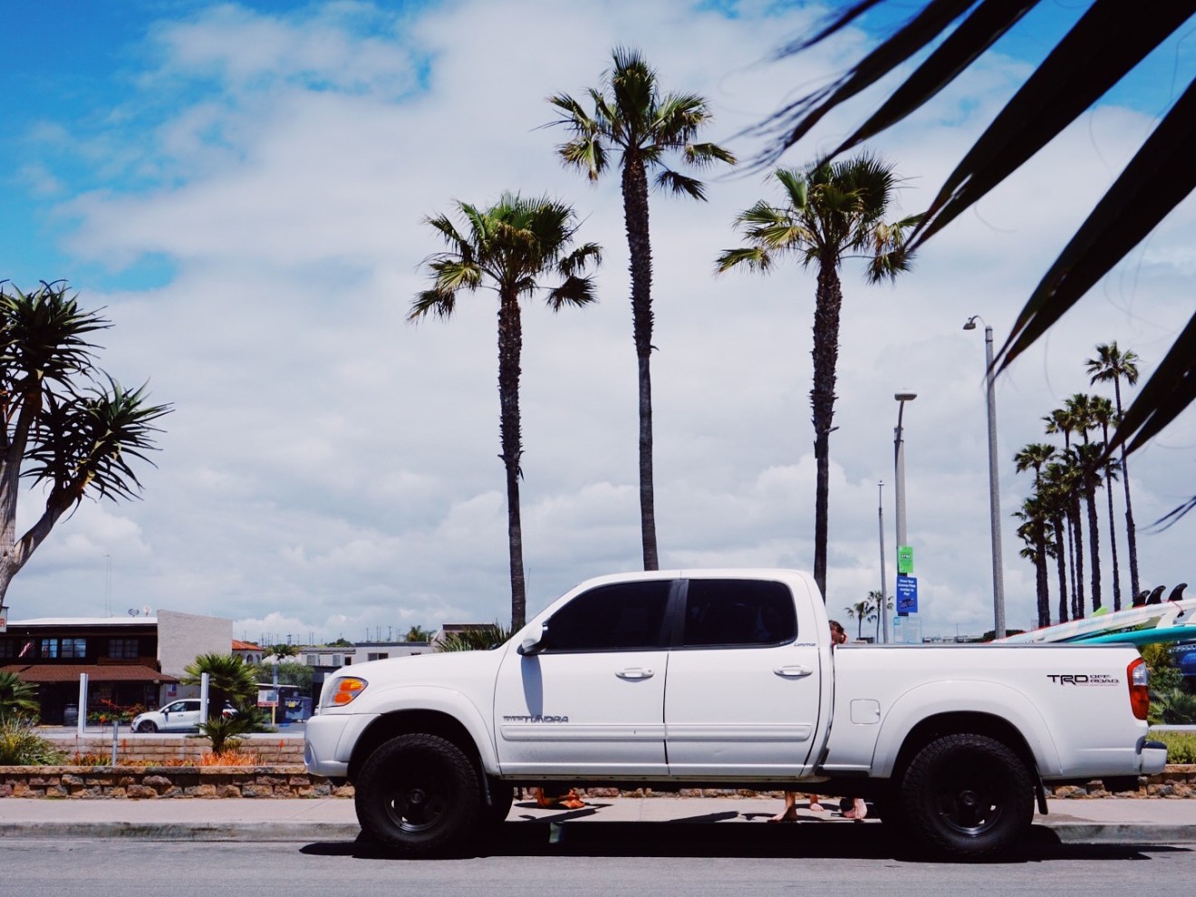 a truck is parked in front of a palm tree